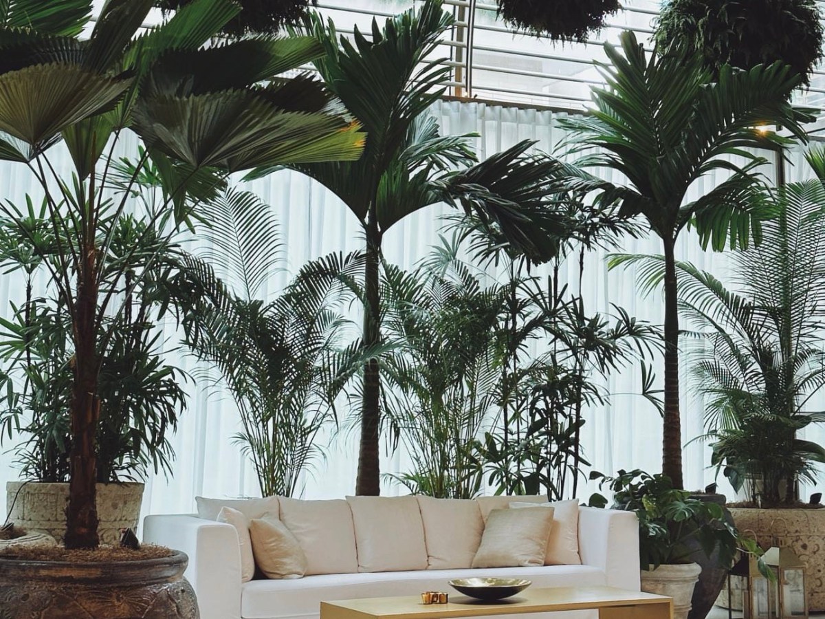 โรงแรมเปิดใหม่ในปี 2023! The Singapore EDITION จากมุมมองของที่ปรึกษาอาวุโสด้านการพัฒนาโรงแรม