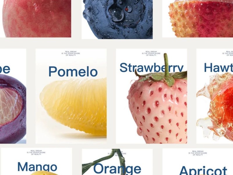 【お悩み解消】20代白髪入門