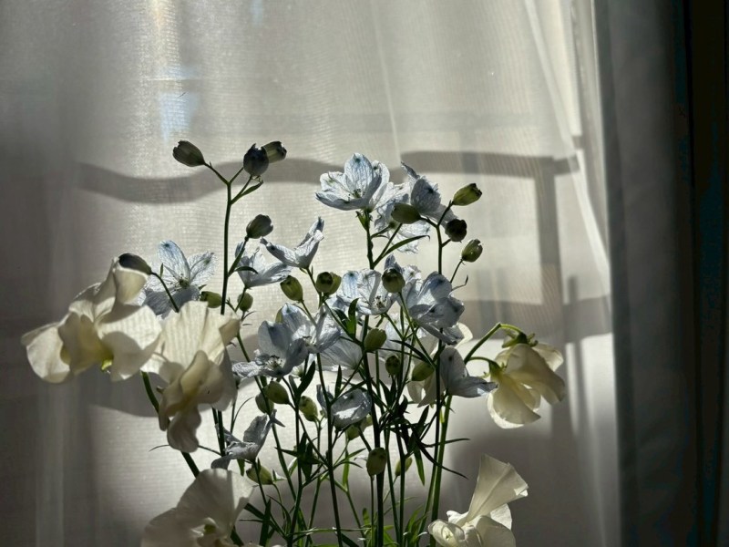 【新生活】社会人が続けている「セルフケア」習慣